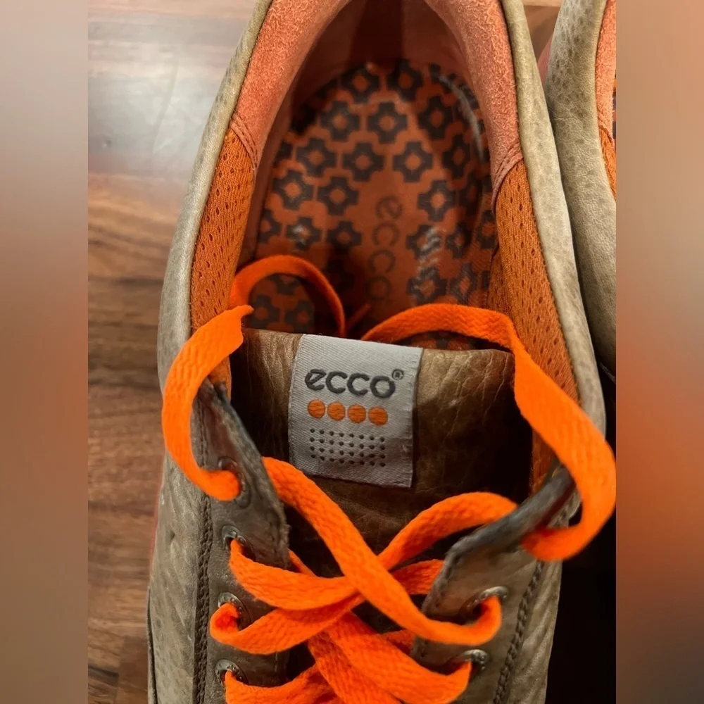 Ecco these shoes